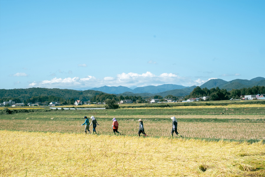 田んぼに向かう様子