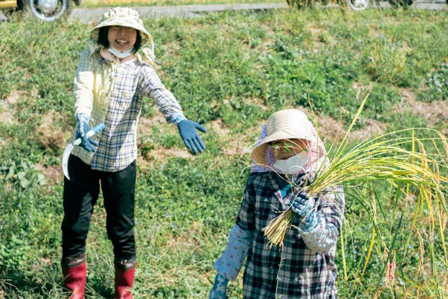 手刈り作業の様子