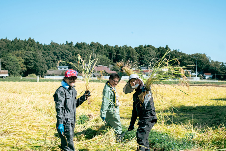 手刈り作業の様子