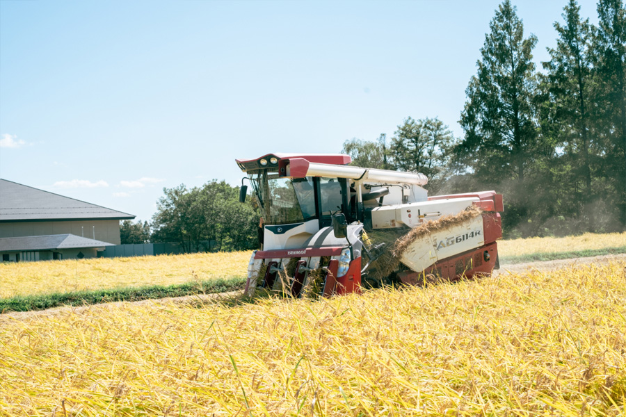 コンバインによる稲の収穫