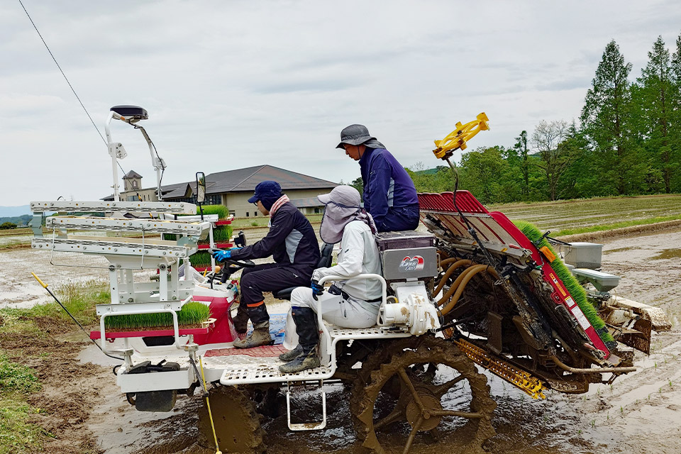 田植え機を運転するメンバー