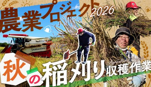 農業プロジェクト「収穫」｜春から秋へ、一年を通してお米づくりを体験