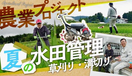 農業プロジェクト「水田管理」｜兼業農家として働くメンバーを支える取り組み